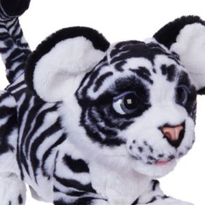 Meet your Posher, Nikk